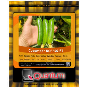 خيار أرضى .   KCP102