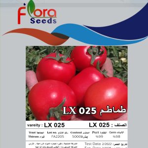 LX 025 F1 طماطم هجين