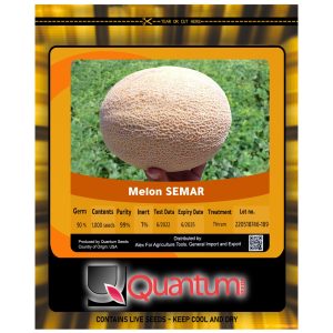 أناناس ثمار