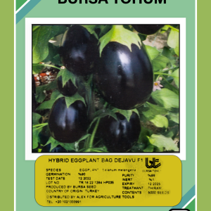 باذنجان باج ديجافو