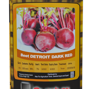 بنجر أحمر أمريكى