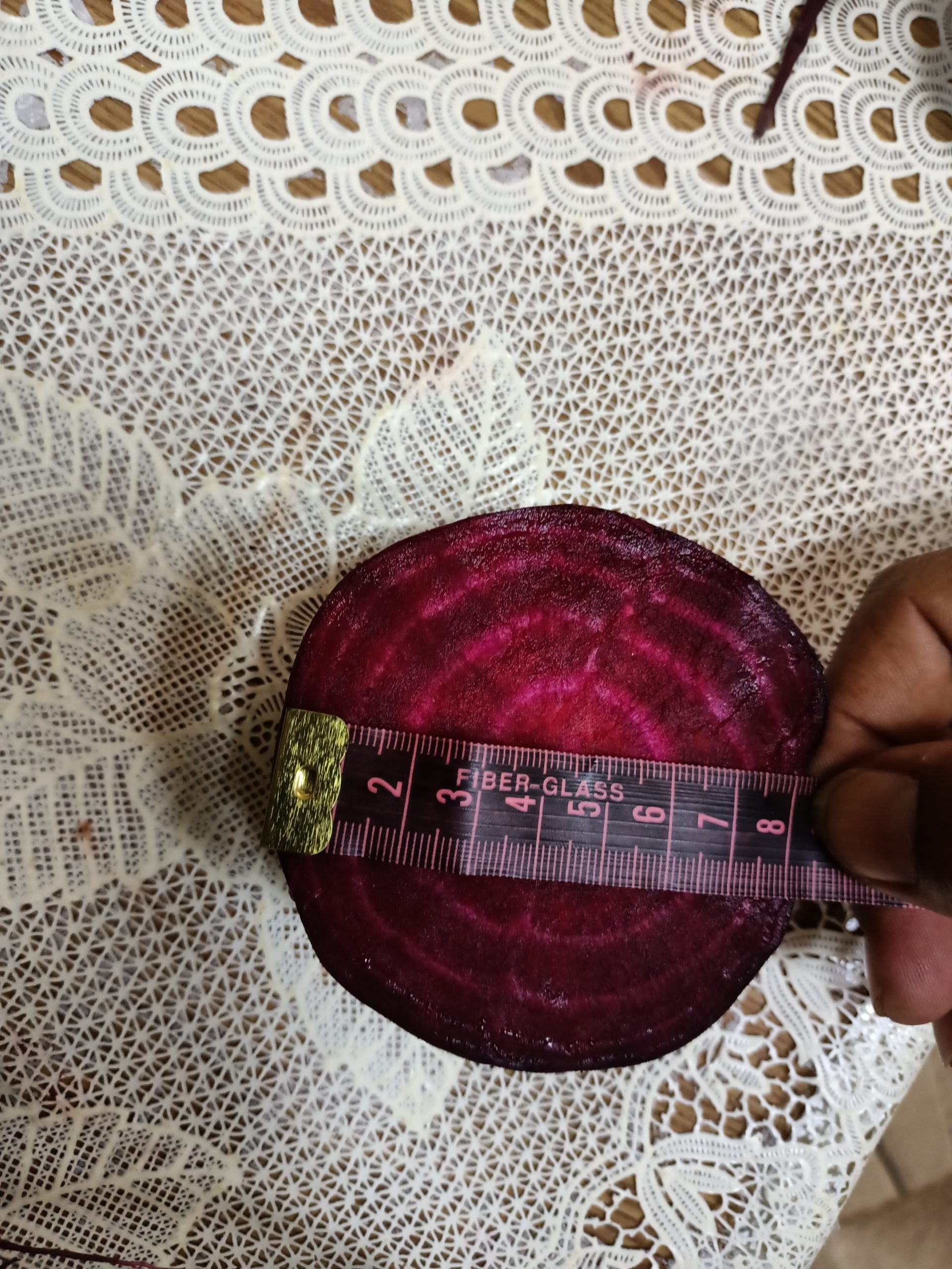 صنف بنجر أحمر هجين F1 DARK RED - Image 25