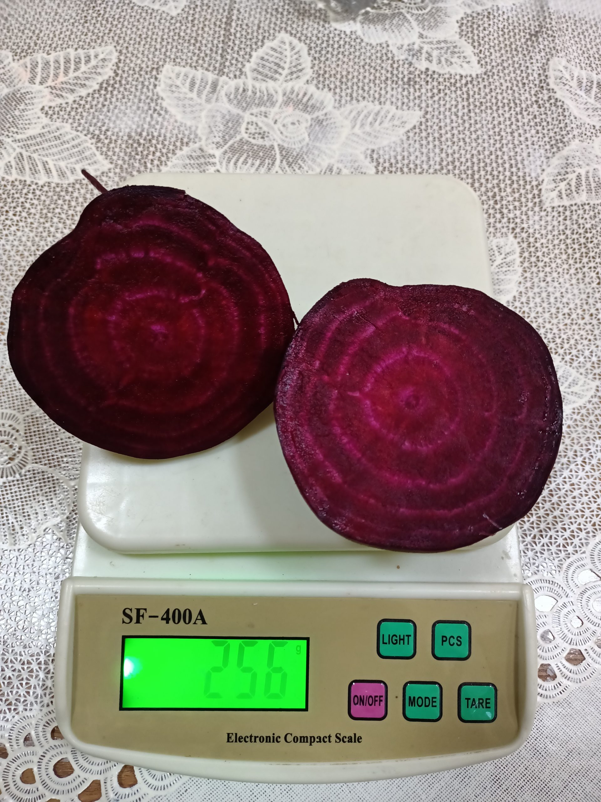 صنف بنجر أحمر هجين F1 DARK RED - Image 24