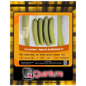 صنف خيار سلك هجين المنار F1