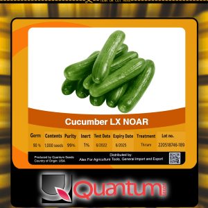 صنف خيار أرضى هجين نوار F1