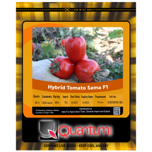 طماطم هجين سما F1