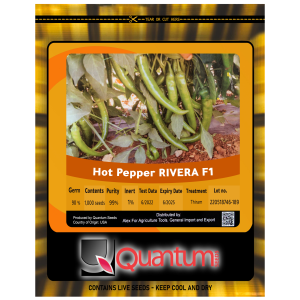 صنف شطة هجين ريفيرا F1