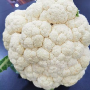 صنف قرنبيط هجين وايت داى F1