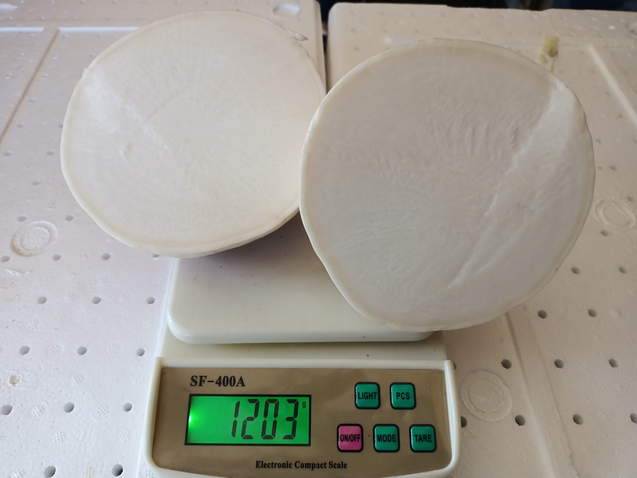 صنف لفت هجين F1 Top White Globe - Image 2