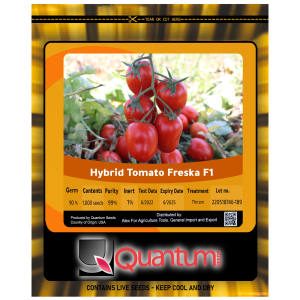 طماطم فريسكا