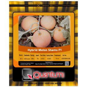 صنف كنتالوب هجين شمس F1